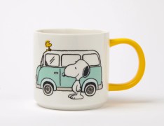 Tasse camp 21